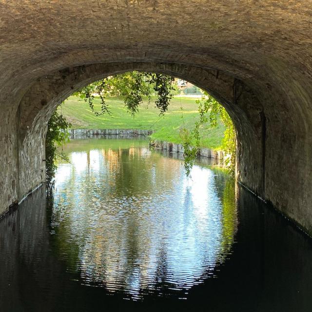 Instagram #gravelines