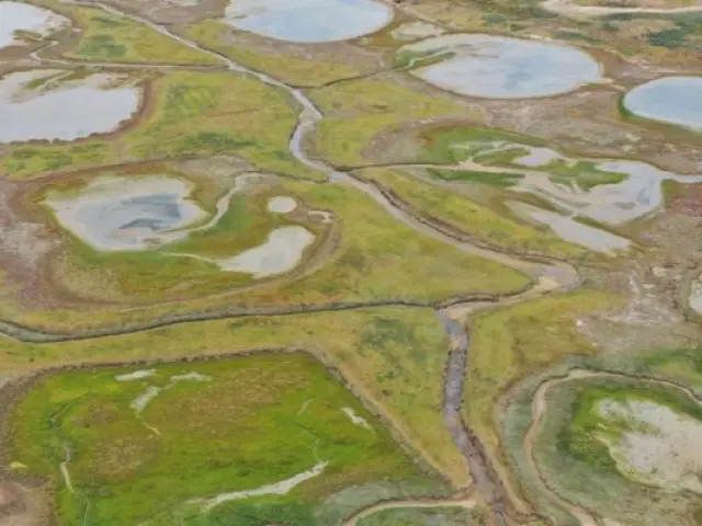 Réserve naturelle du Platier d'Oye vu du ciel