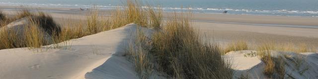 Dune Blanche