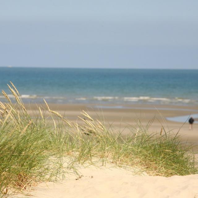 Dunes Dunkerque