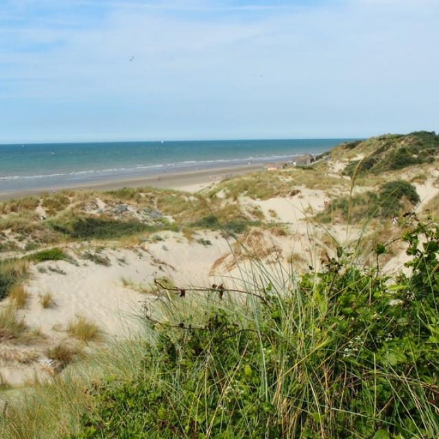 Grand Site des Dunes de Flandre en projet