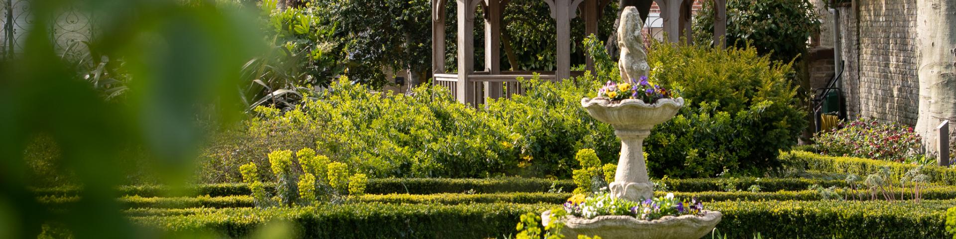 Nature Jardin De La Liberté 1