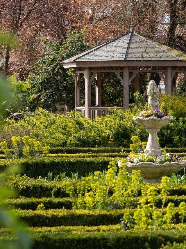 Nature Jardin De La Liberté 1