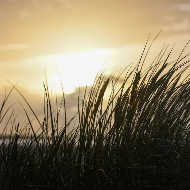 Plage Petit Fort Philippe
