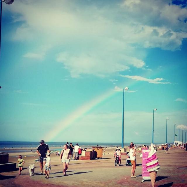 Instagram #braydunes