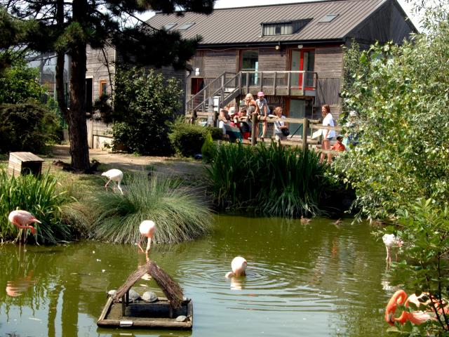 Zoo