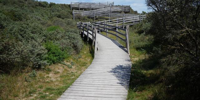 Réserve Naturelle Nationale Du Platier D'Oye (14)