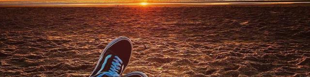 Instagram #braydunes