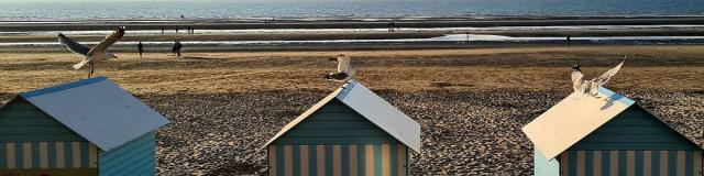 Instagram #braydunes