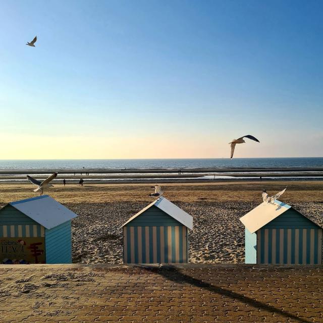 Instagram #braydunes