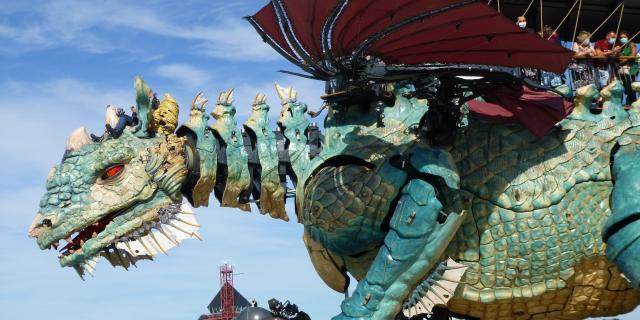 Dragon De Calais Ot Calais