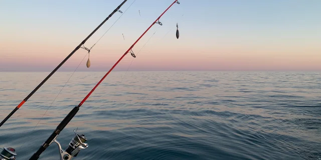 Pêche Dunkerque