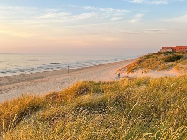 Instagram #zuydcoote