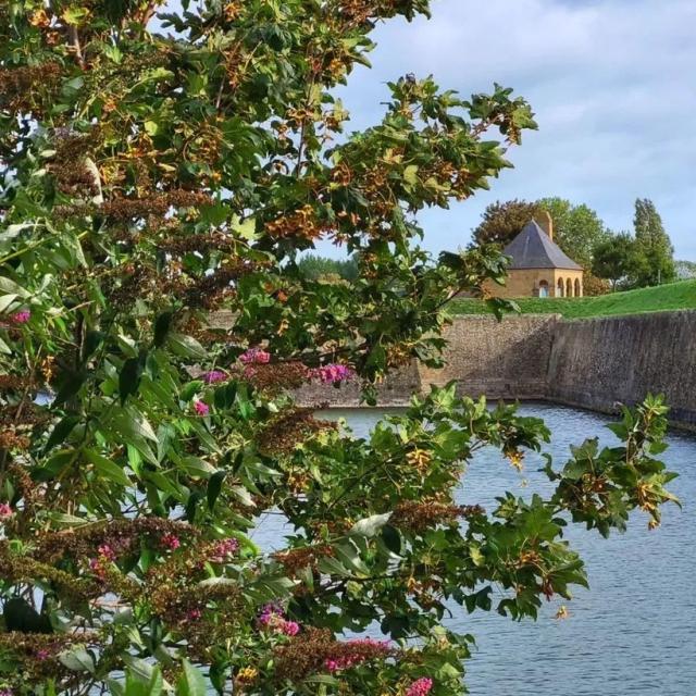 Instagram #gravelines
