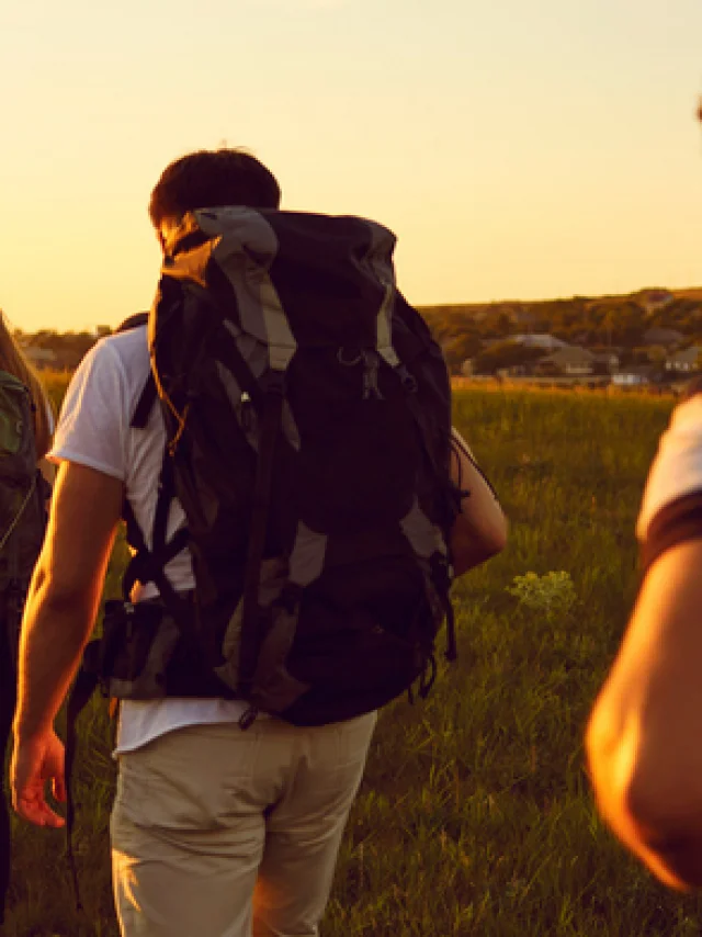 Capture Decran 2024 03 08 144431 784x392 1