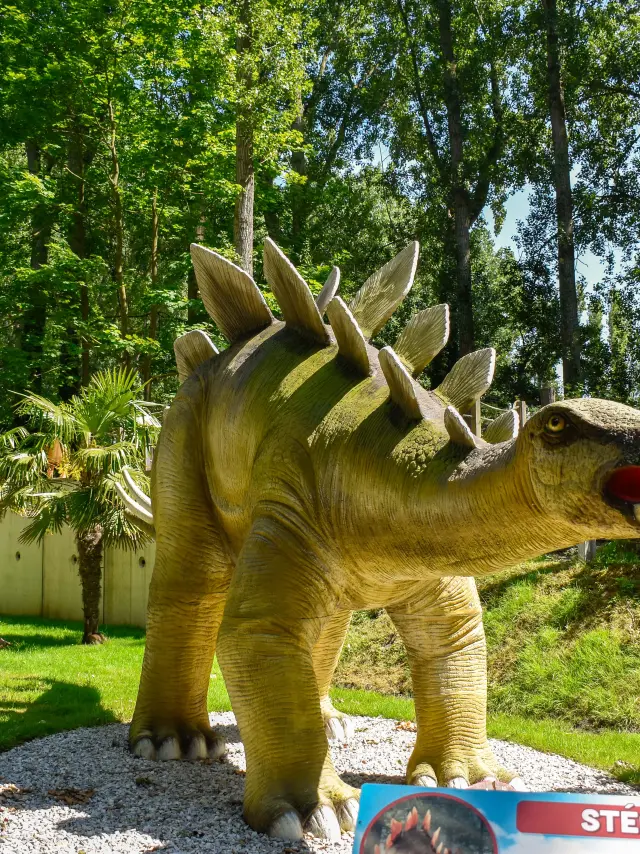 Dino Parc Otccdk 5