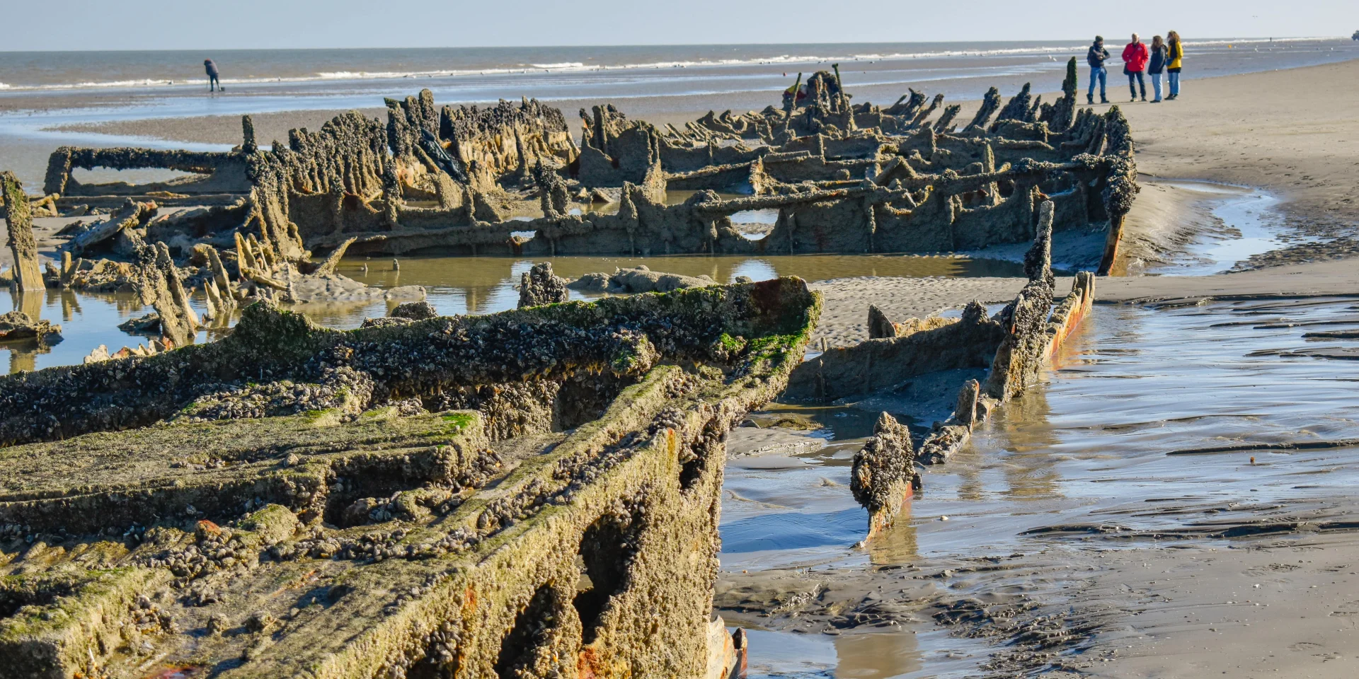 Epave Crested Eagle ©Office De Tourisme Dunkerque