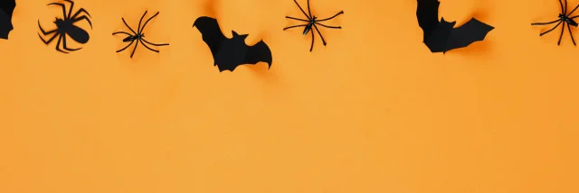 Pexels Karolina Grabowska 5477592