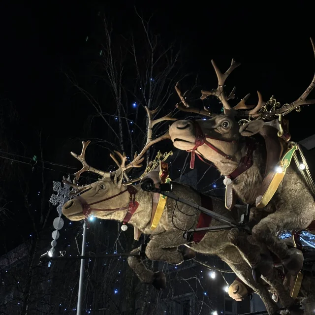 Parade de Noël de Dunkerque - Renne