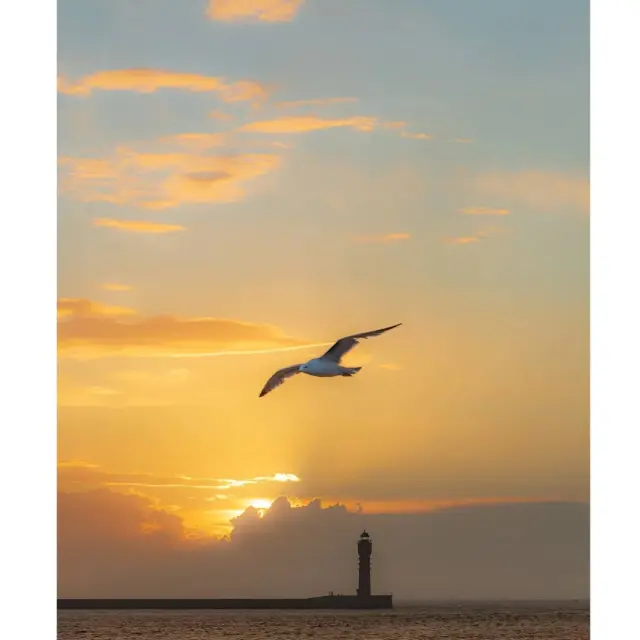 Instagram #dunkerque