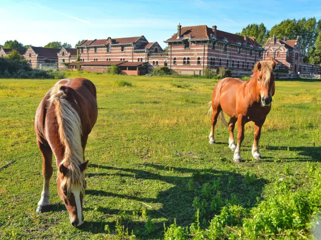 Ferme Nord C Bonte 2