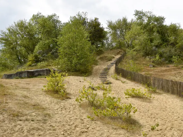 Dunes Dewulf 1 Otccdk