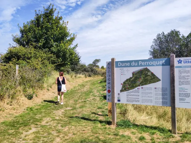 Dune Du Perroquet Otccdk 2