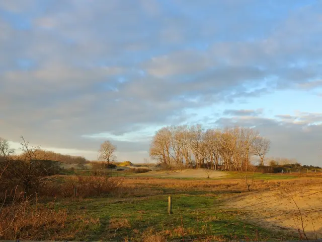 Dune Fossile C Bonte 2