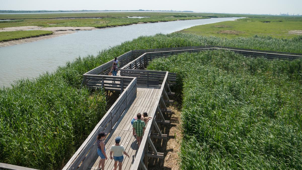 L’Observatoire – Tadashi Kawamata | Estuaire et Sillon Tourisme