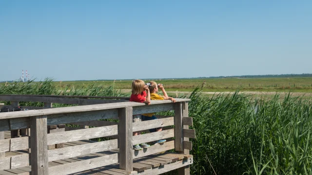 2023 Observatoire Kawamata Oeuvre Du Parcours Estuaire Nantes Saint Nazairepuk 32