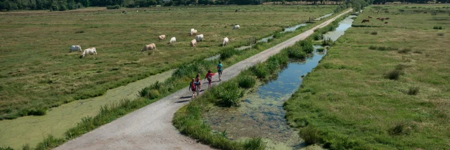 Balade Des Roselieres @puk 48