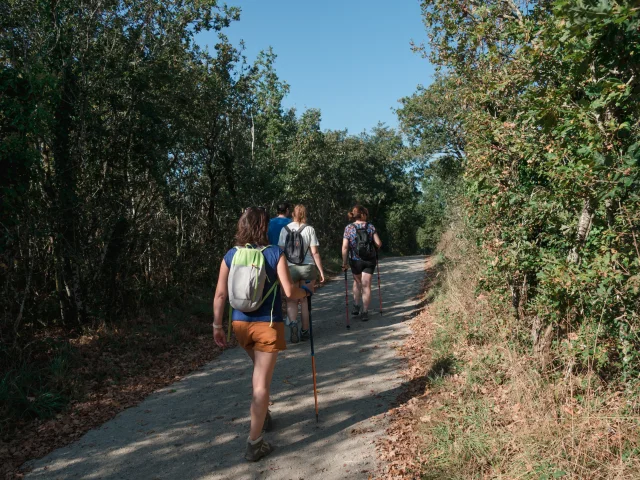 2021 Rando Sentier Du Belvedere Savenay1@puk 23