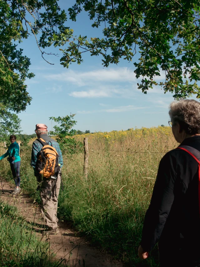 2022 06 Sentier Des 4 Vallees La Chapelle Launay Puk 20