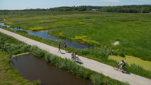2023 Nid Observatoire Blanc Marais De Loirepuk 52