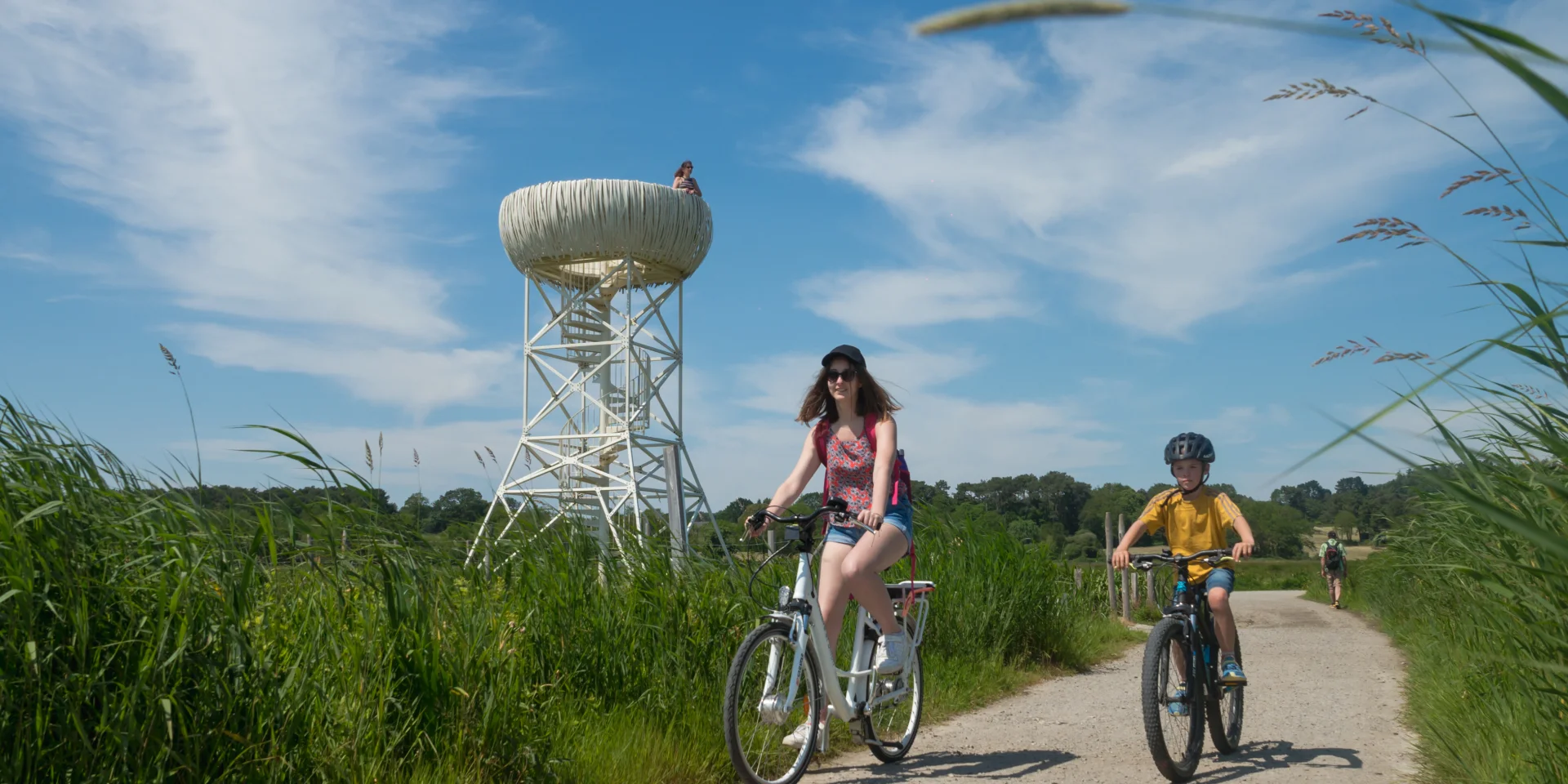 2023 Nid Observatoire Blanc Marais De Loirepuk 59