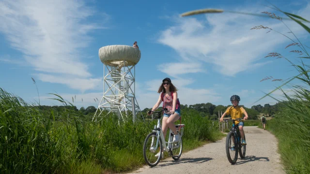 2023 Nid Observatoire Blanc Marais De Loirepuk 59