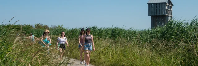 2023 Observatoire Kawamata Oeuvre Du Parcours Estuaire Nantes Saint Nazairepuk 3