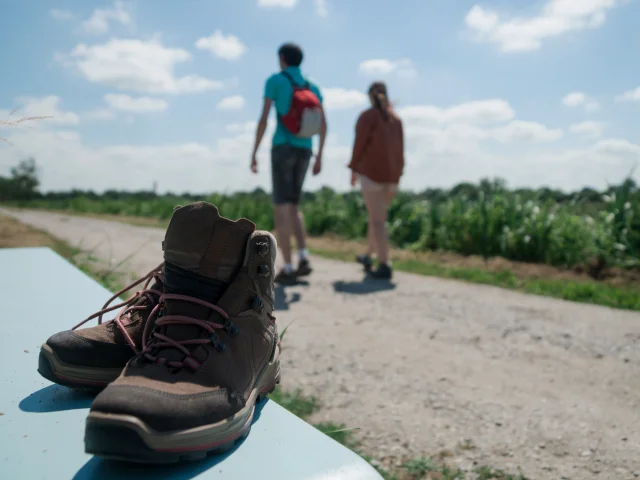 Comcom Estuairesillon Juin21 206