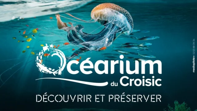 Ocearium Du Croisic Ebillet