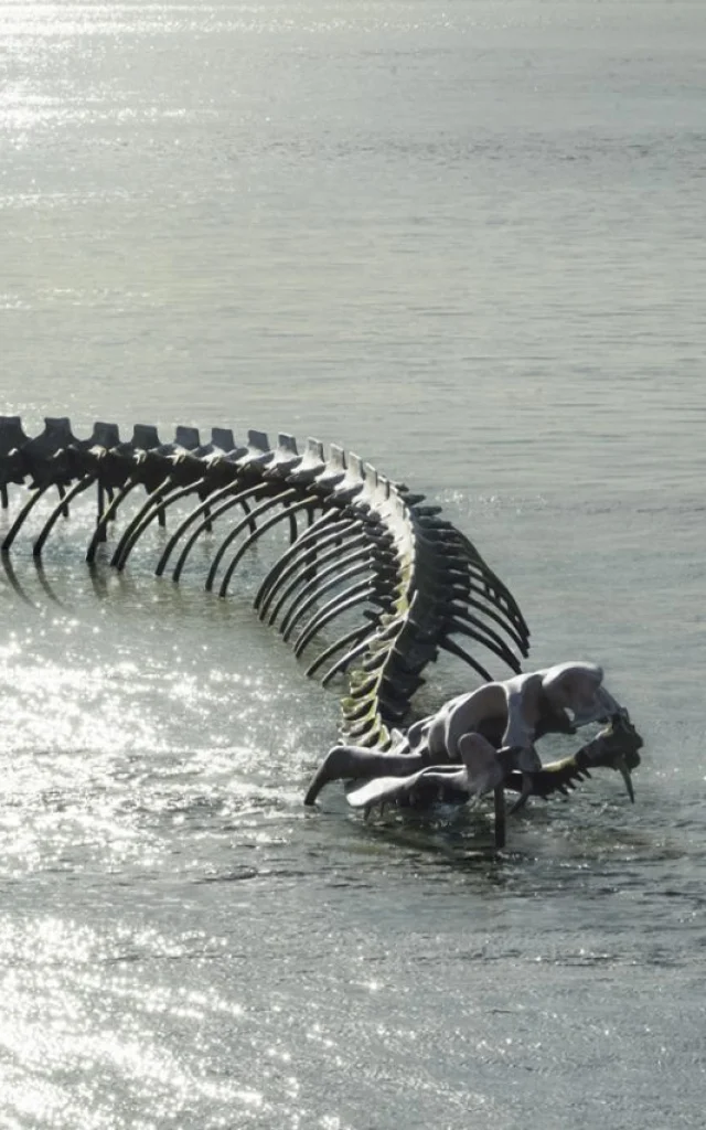 Serpent 1800x853 1