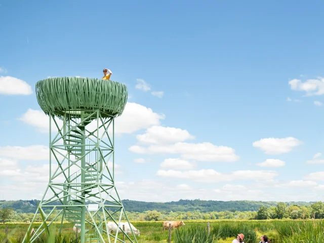 2024 Nid Observatoire Vert Puk 19 Page De Couv