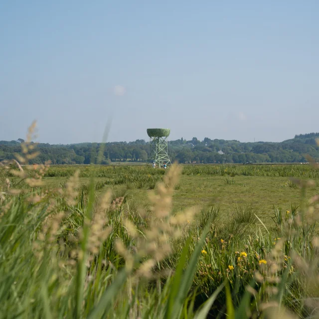 2025 Nid Observatoire Marais Du Syl Puk 23 1