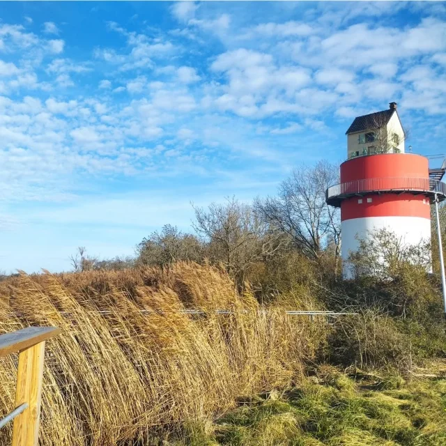 Instagram #cordemais