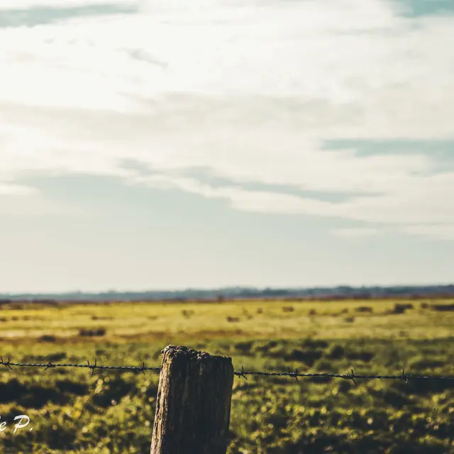 Instagram #lavausurloire