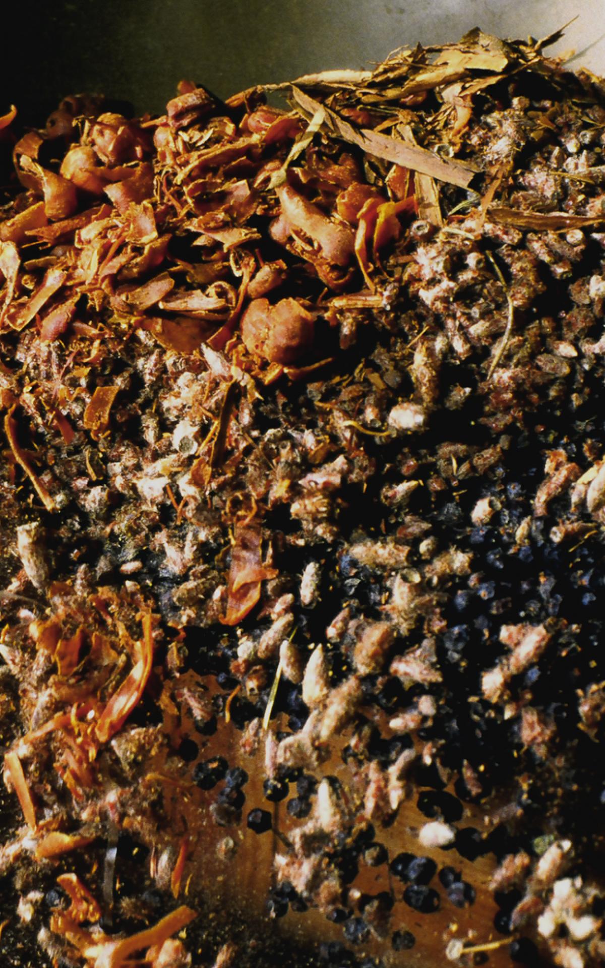 Alexandre Le Grand, créateur de la liqueur Bénédictine à Fécamp Office de Tourisme de Fécamp