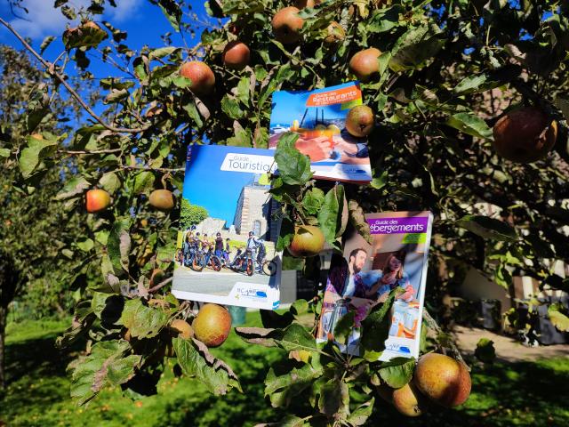 Guides / brochures 2022 de l'Office