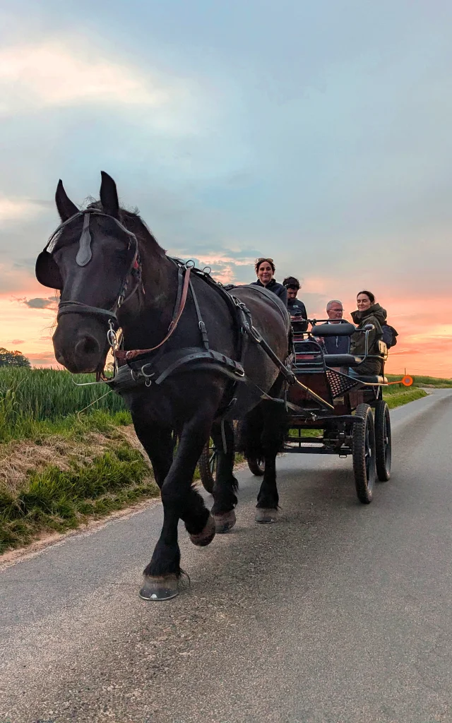 20250513 Jumenterie Des Nefliers Balade Au Pas Des Chevaux Credit Fecamp Tourisme