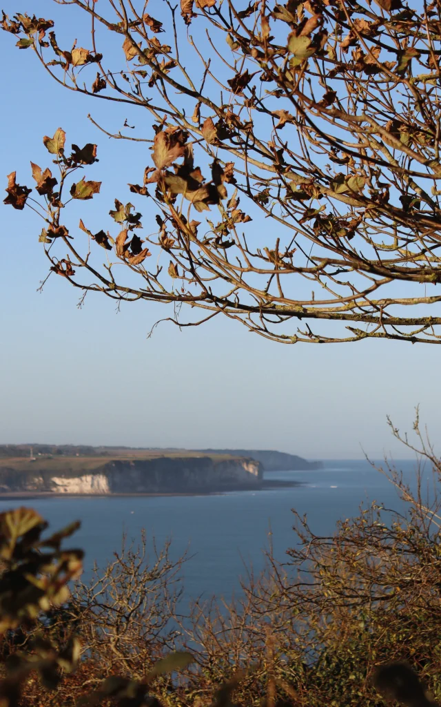 20241023 Circuit Rando Cote De La Vierge Automne Credit Oit Fecamp 4