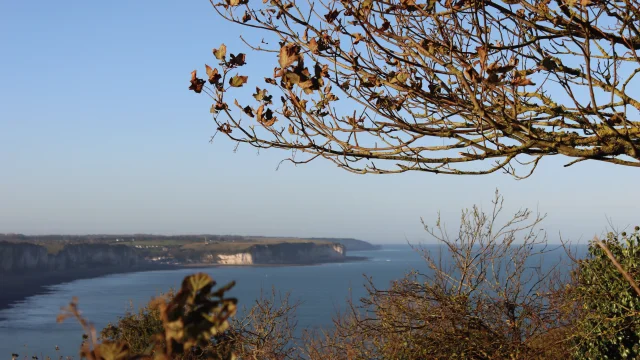 20241023 Circuit Rando Cote De La Vierge Automne Credit Oit Fecamp 4