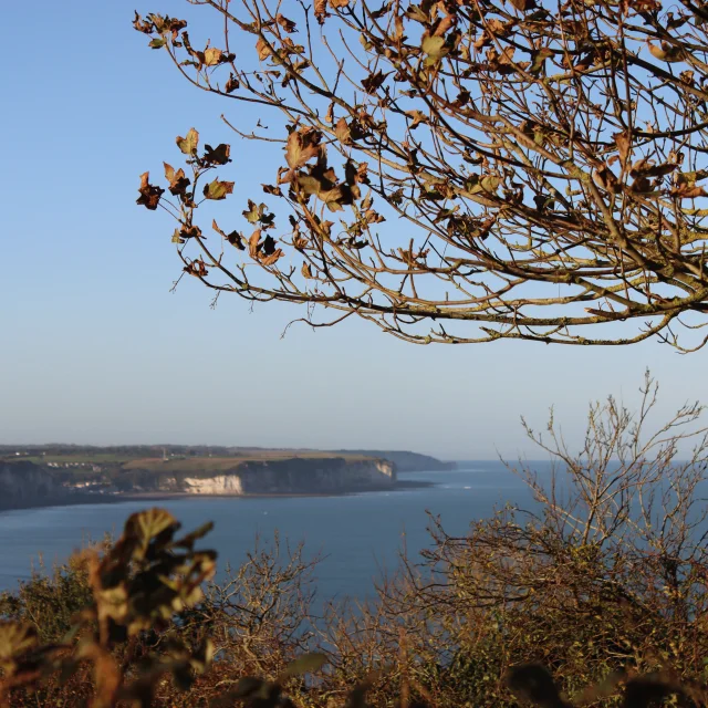 20241023 Circuit Rando Cote De La Vierge Automne Credit Oit Fecamp 4